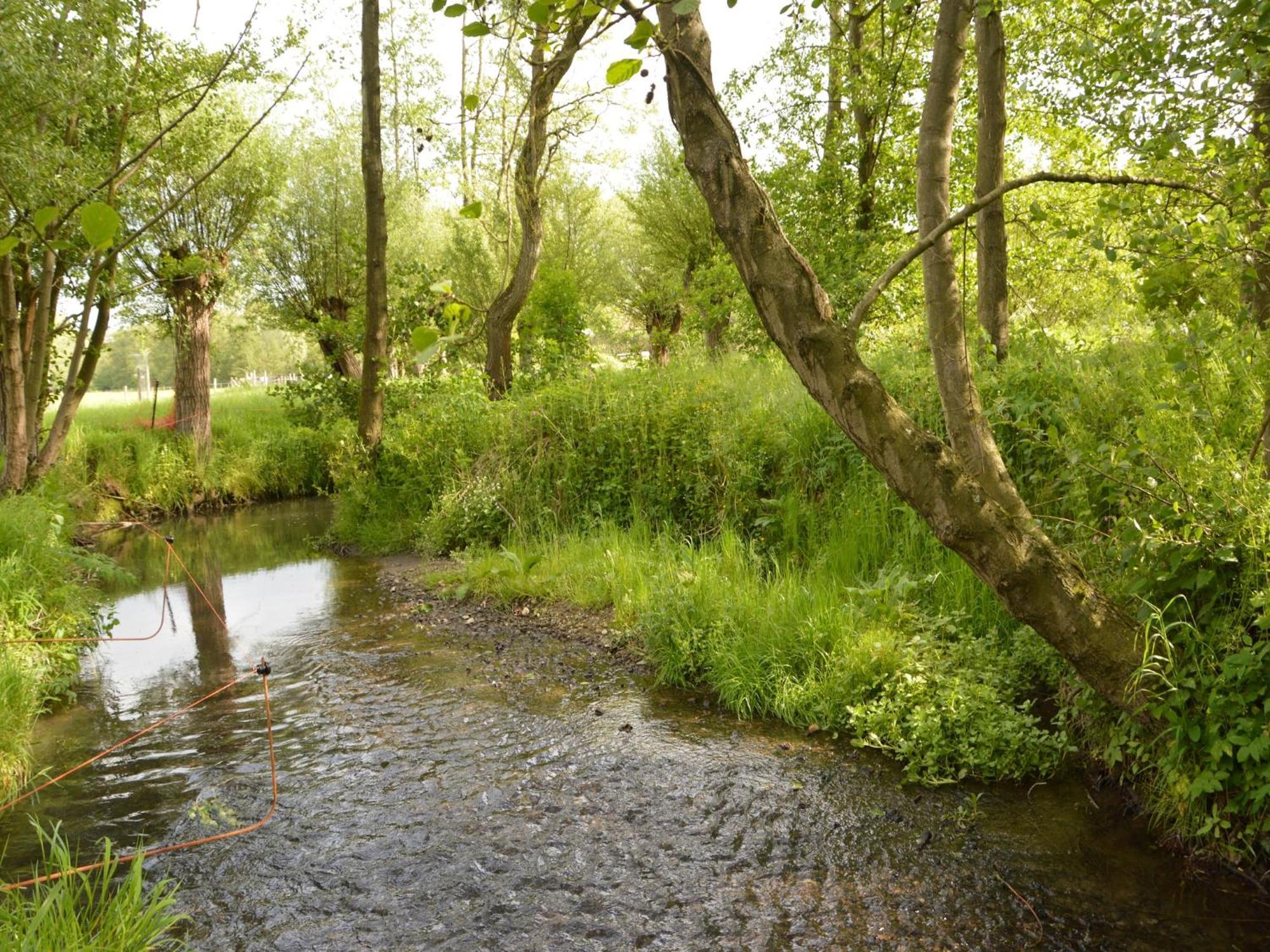 Stunning Holiday Home Near Forest In Slenaken Zewnętrze zdjęcie